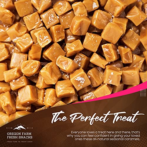 Salted Caramel Gourmet Candy with Sea Salt and Vanilla, Gluten Free, Soft Chewy, Individually Wrapped (16 oz) H68057