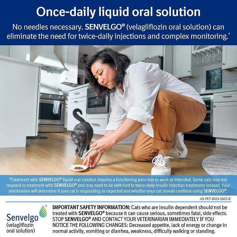 Oral Solution for Cats 15mg/ml B5872