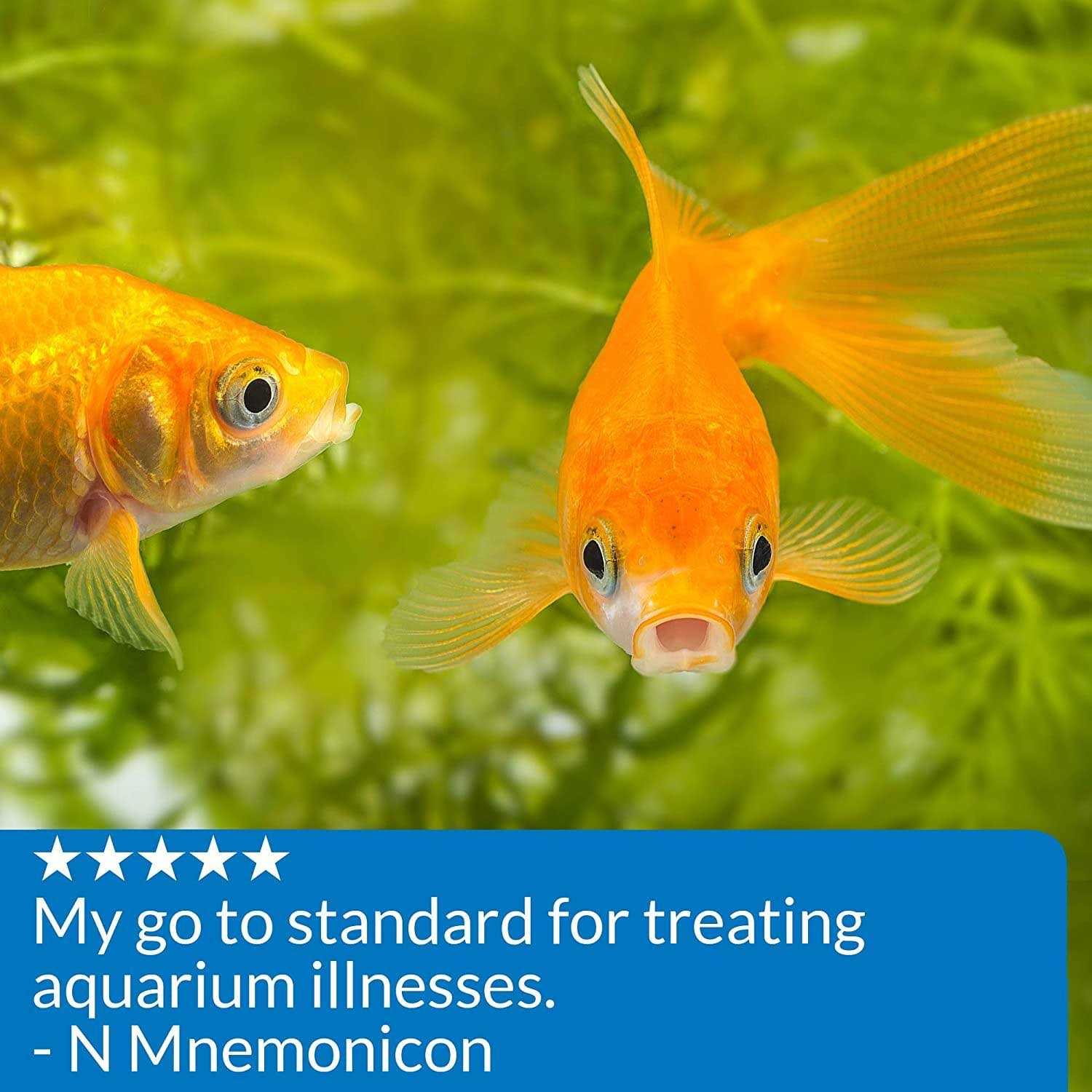 Antifungal Fish Remedy for Aquariums Z4089