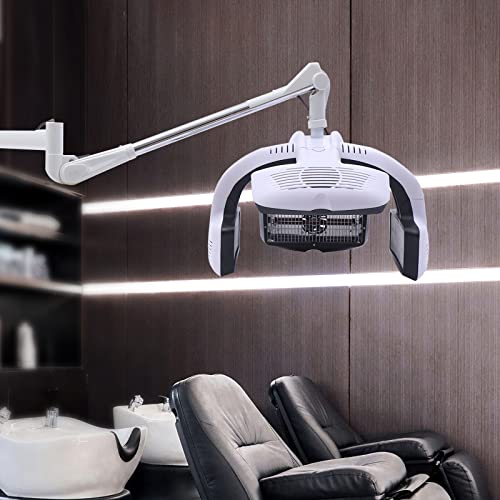 Wall Mounted Hair Dryer with Timer for Salon Use P554