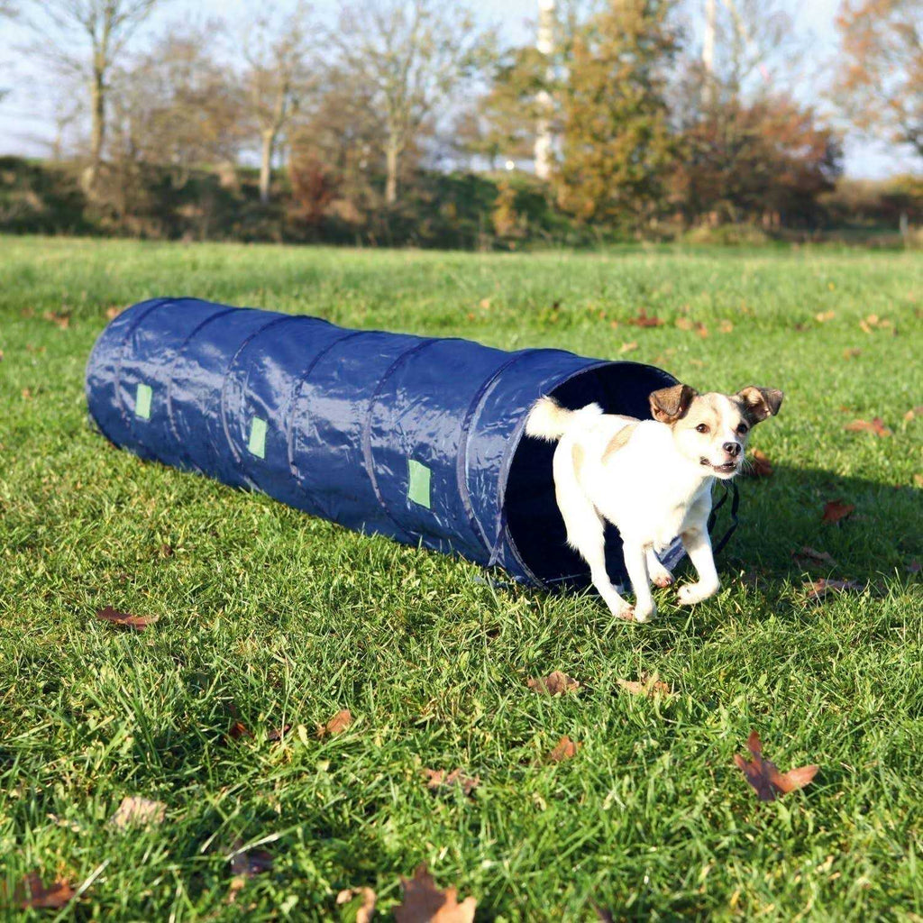 Agility Tunnel for Pets A91964