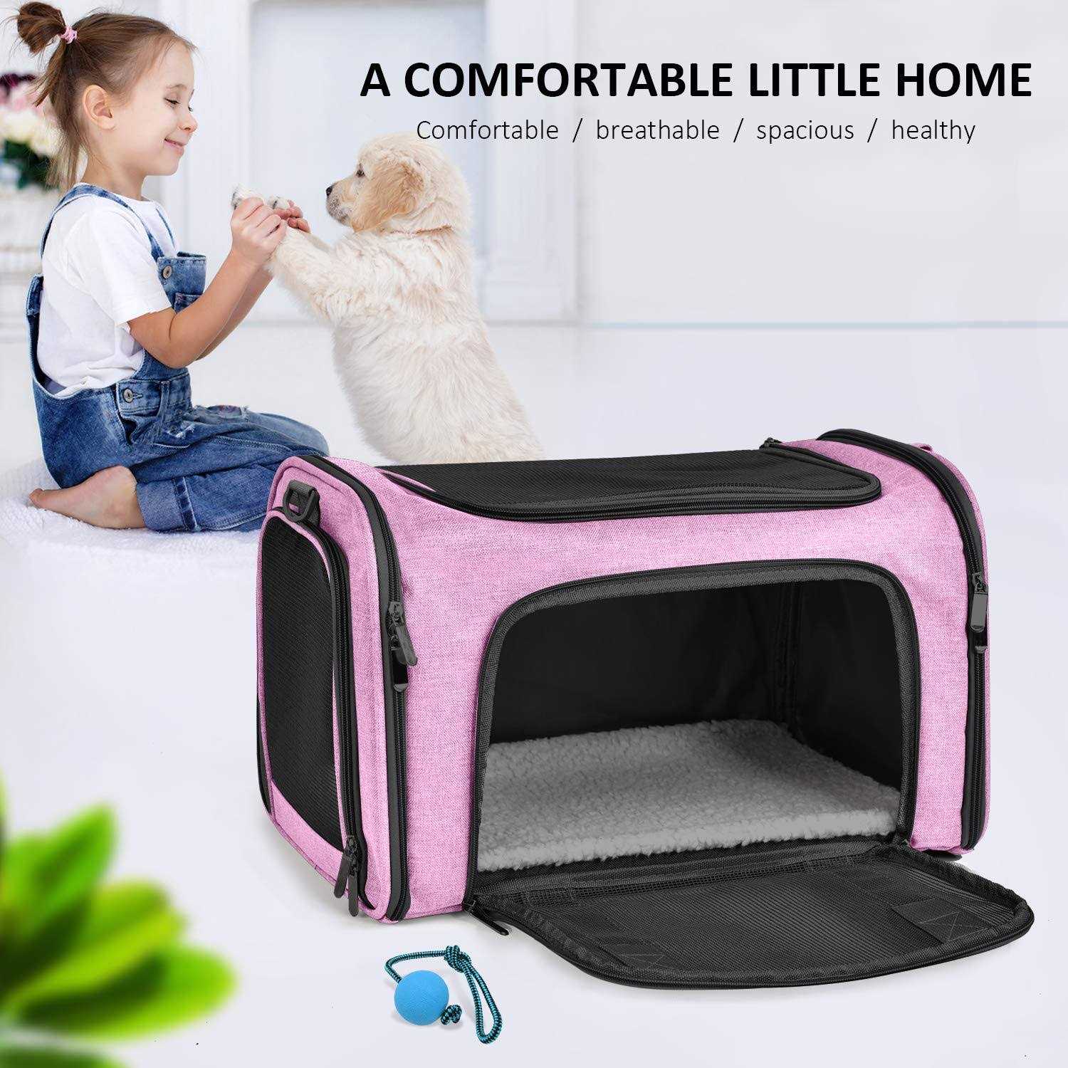 Cat Carrier for Small Medium Cats Puppies up to 15 Lbs Y836427