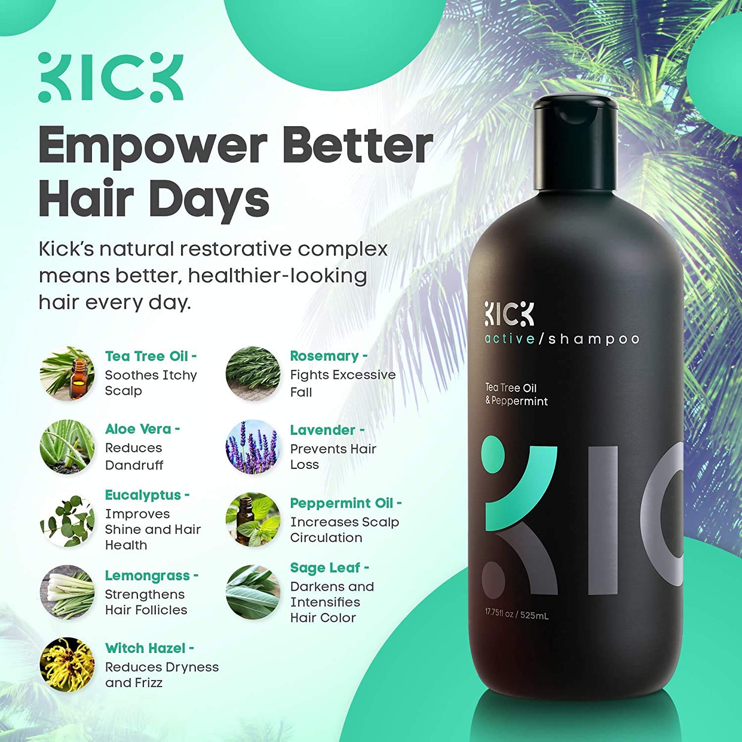 Men's Sulfate Free Shampoo with Peppermint and Tea Tree Oil for Thinning Hair, 17oz N45606