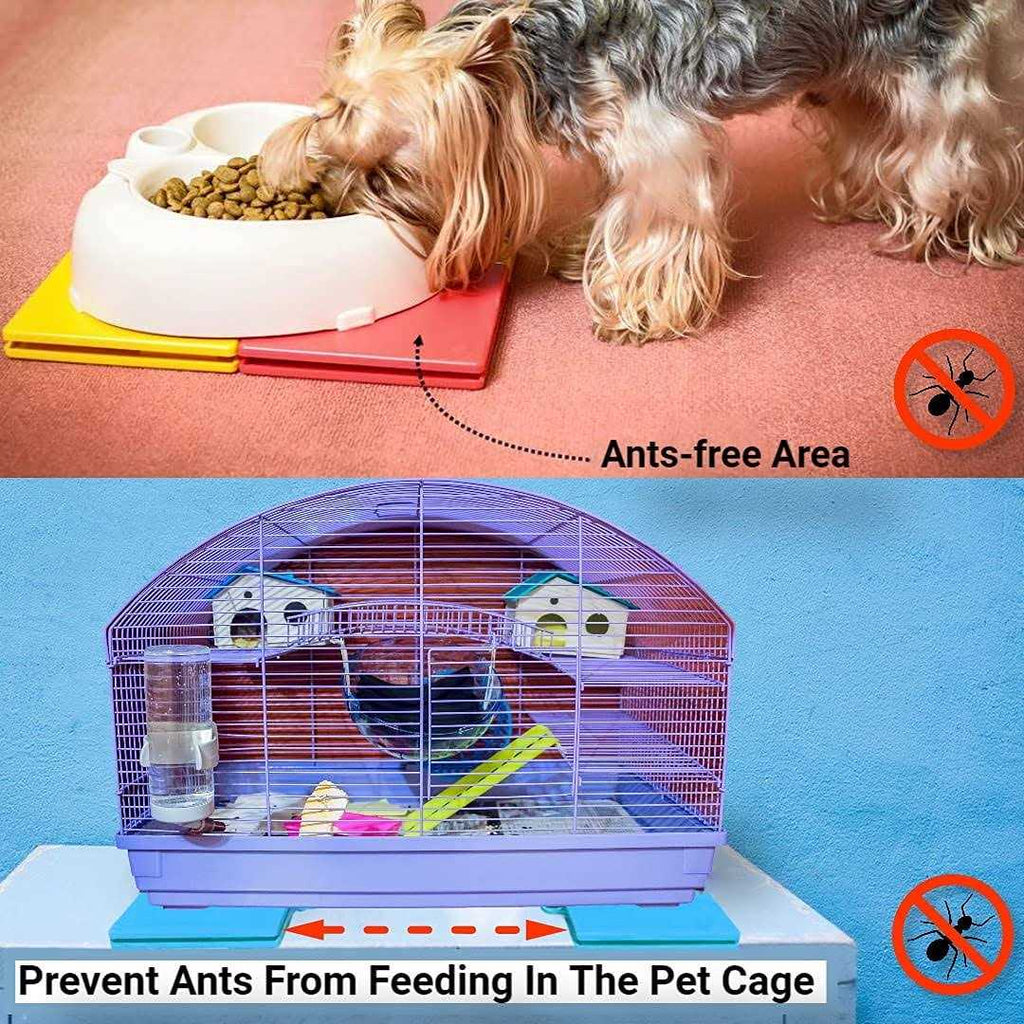 Ant Proof Dog Cat Pet Bowl R1228