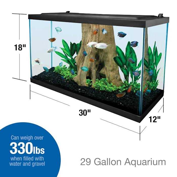 29 Gallon Glass Aquarium J24510
