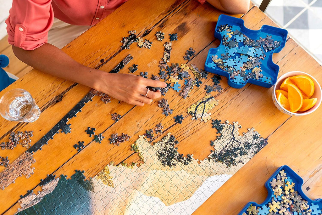 Jigsaw Puzzle Sorting Trays for 1000 Pieces, Stackable and Portable V528