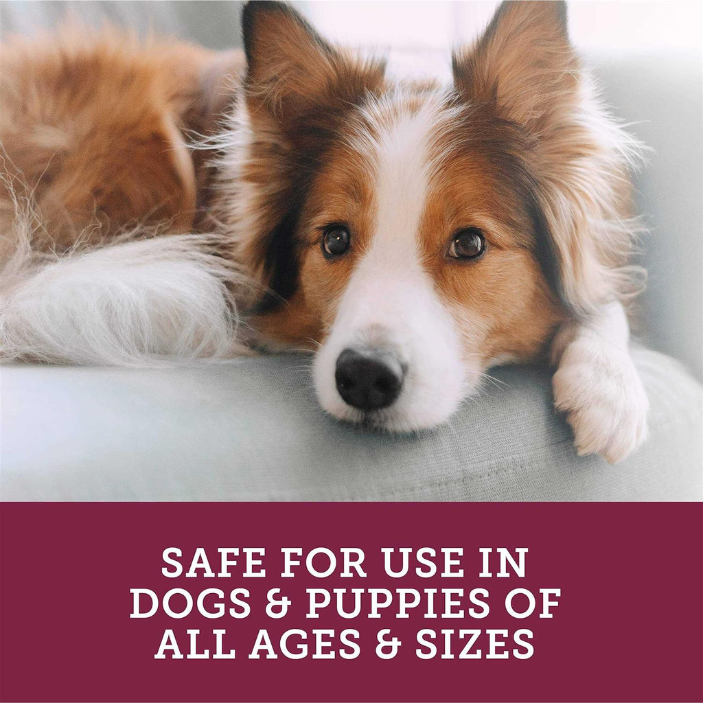 Stop the Runs Chewables for Dogs S5321