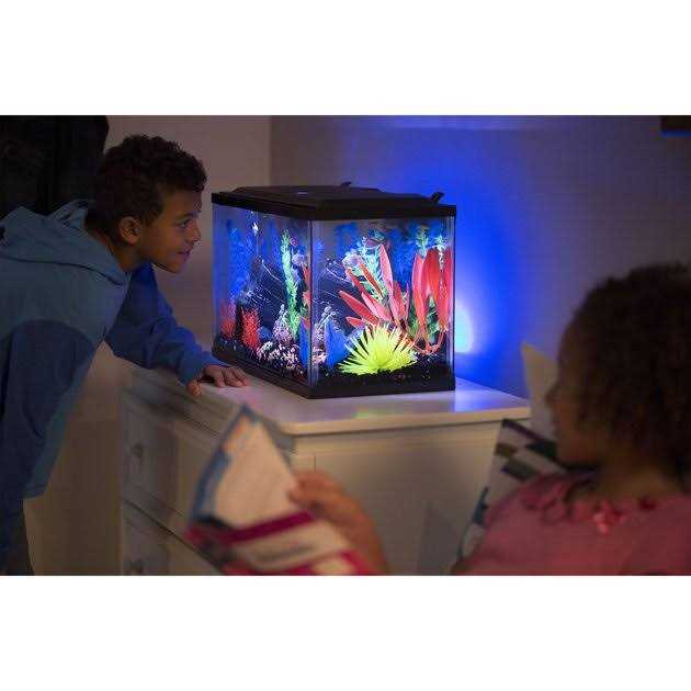 10 Gallon Aquarium Kit W8045