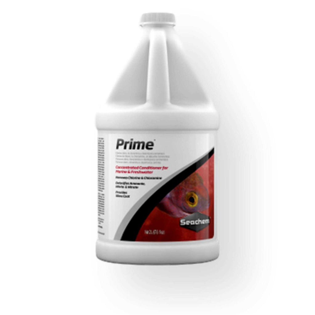 Pet Supplies online store B1541