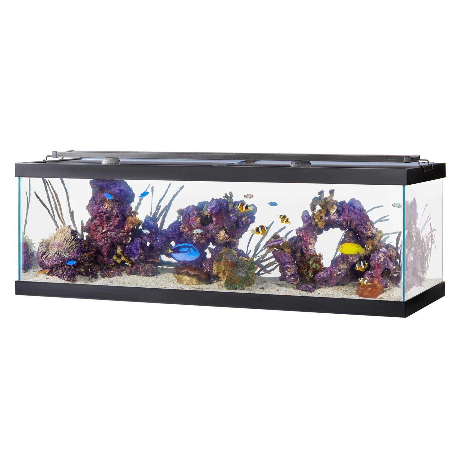Glass Rectangle Aquarium K691564
