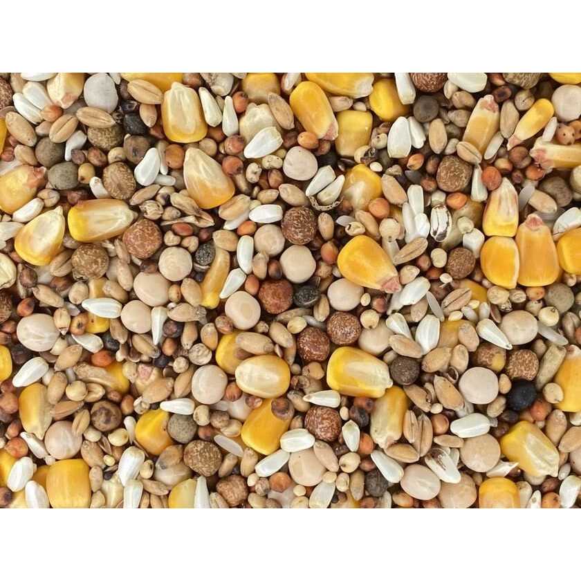 Classic Racing Pigeon Food Blend 50lbs R91125