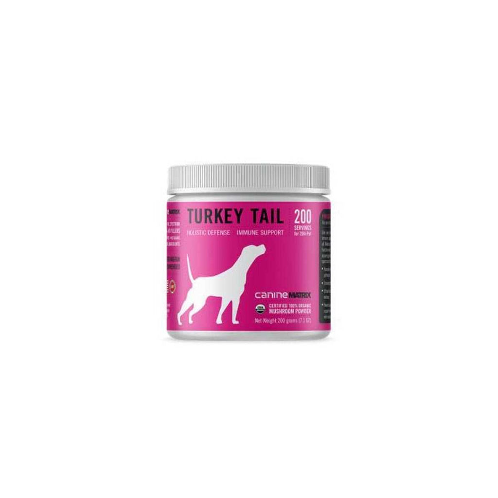 Turkey Tail Mushroom Supplement for Dogs O523186