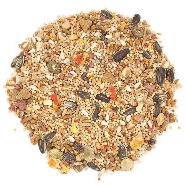 Cockatiel & Lovebird Food O31164