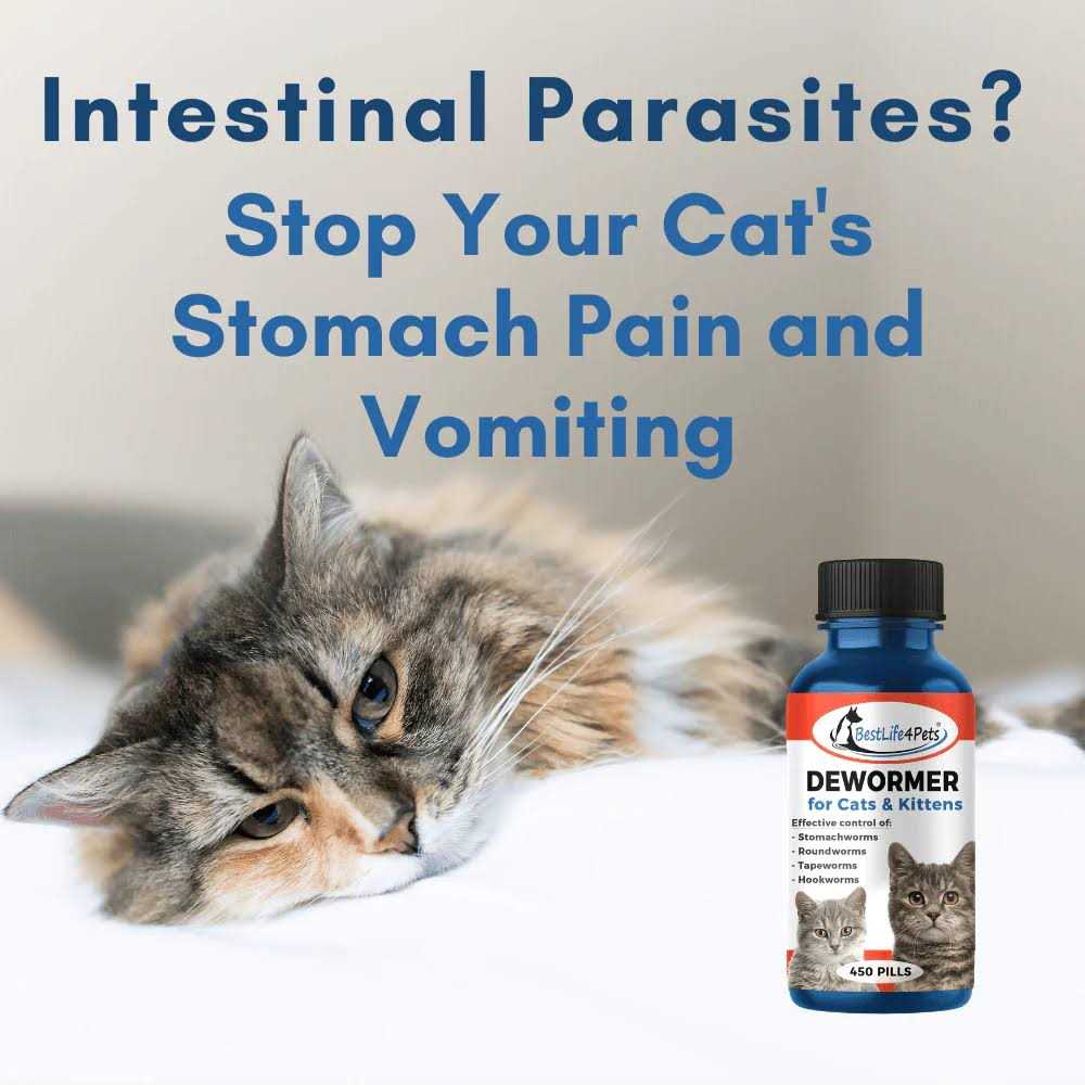 Broad Spectrum Dewormer for Cats and Kittens H2982