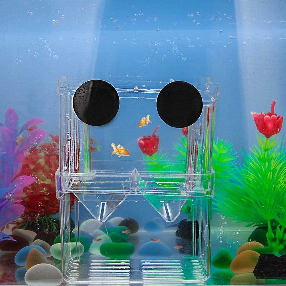 Aquarium Fish Breeder Box with Isolation and Hatching Incubator for Baby Fish and Shrimp L964354