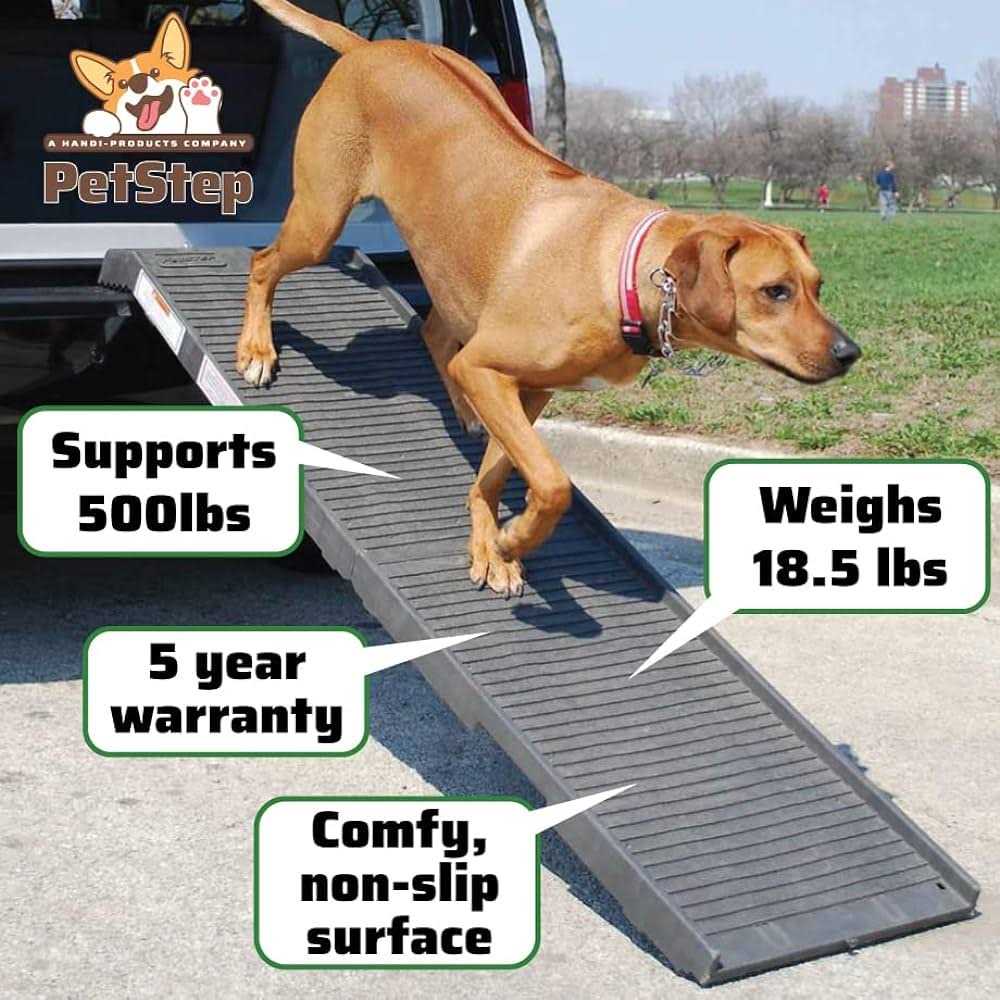 Pet Pool Bundle G974030