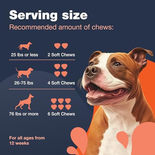 Glucosamine Chondroitin Dog Chews with MSM for Hip and Joint Health D5560