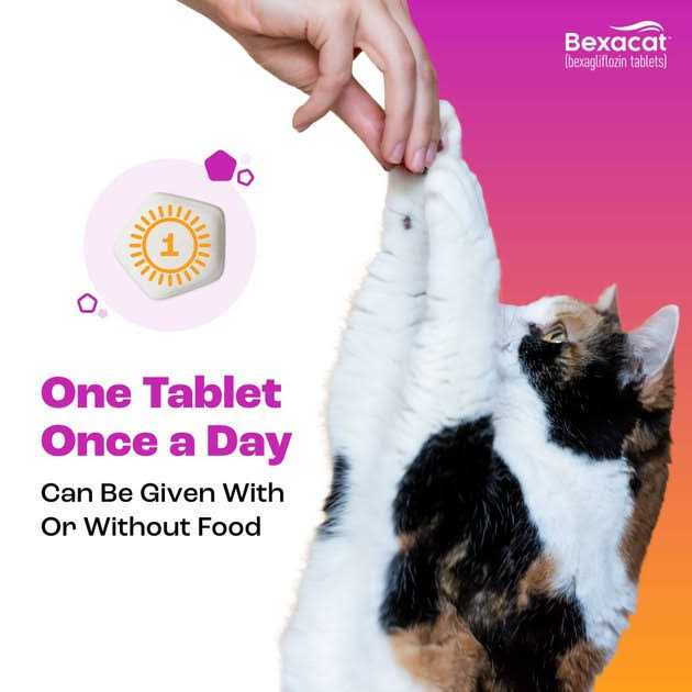 Cat Diabetes Medication 15 mg P694