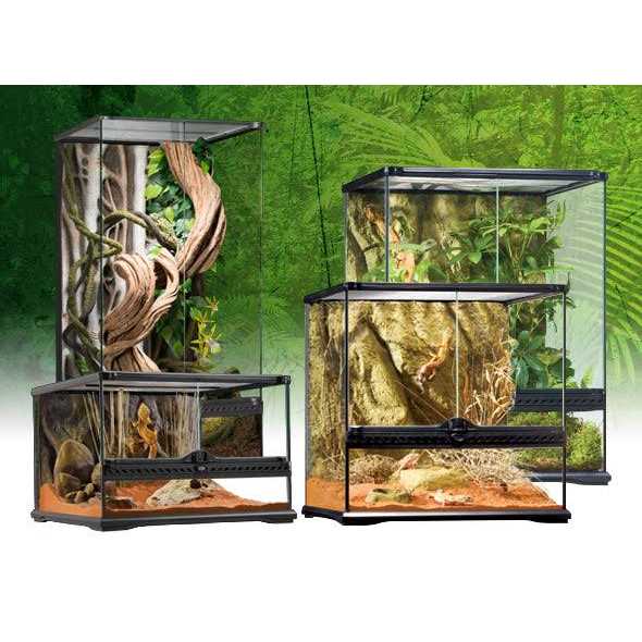 Glass Terrarium O711441