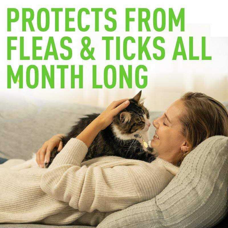 Cat flea and tick treatment for cats Y169