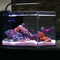 Current USA Orbit Marine NANO LED Light w/Gooseneck Mount &amp; Dynamic Controller - Pet Supplies online store