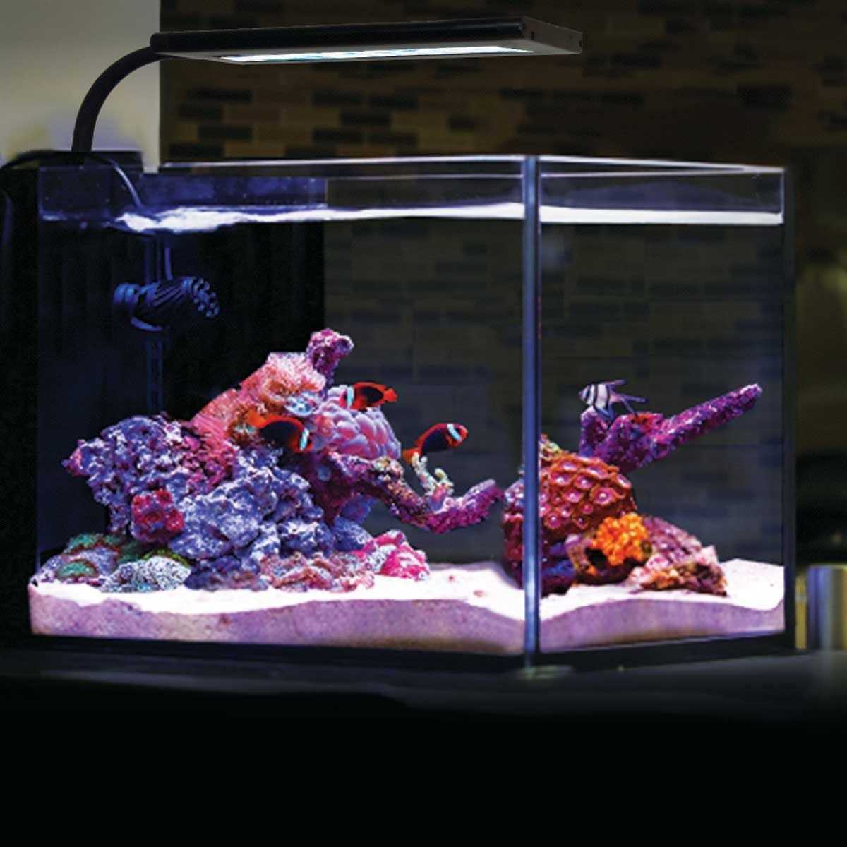 Current USA Orbit Marine NANO LED Light w/Gooseneck Mount &amp; Dynamic Controller - Pet Supplies online store