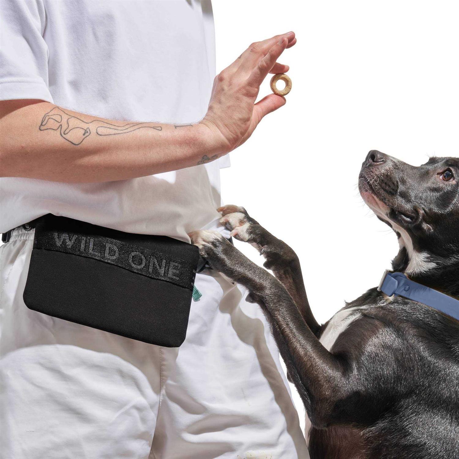 Cotton Dog Treat Pouch K9730
