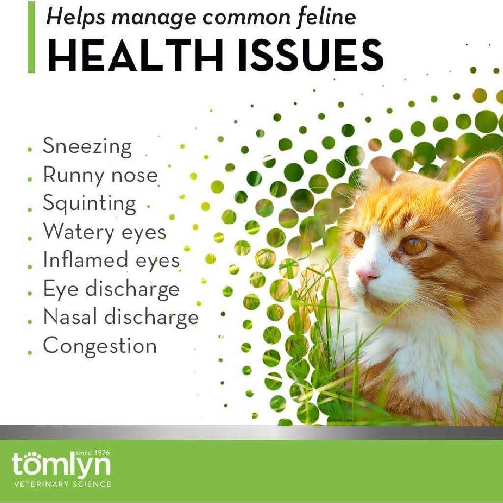 L-Lysine Immune Support Gel for Cats V876