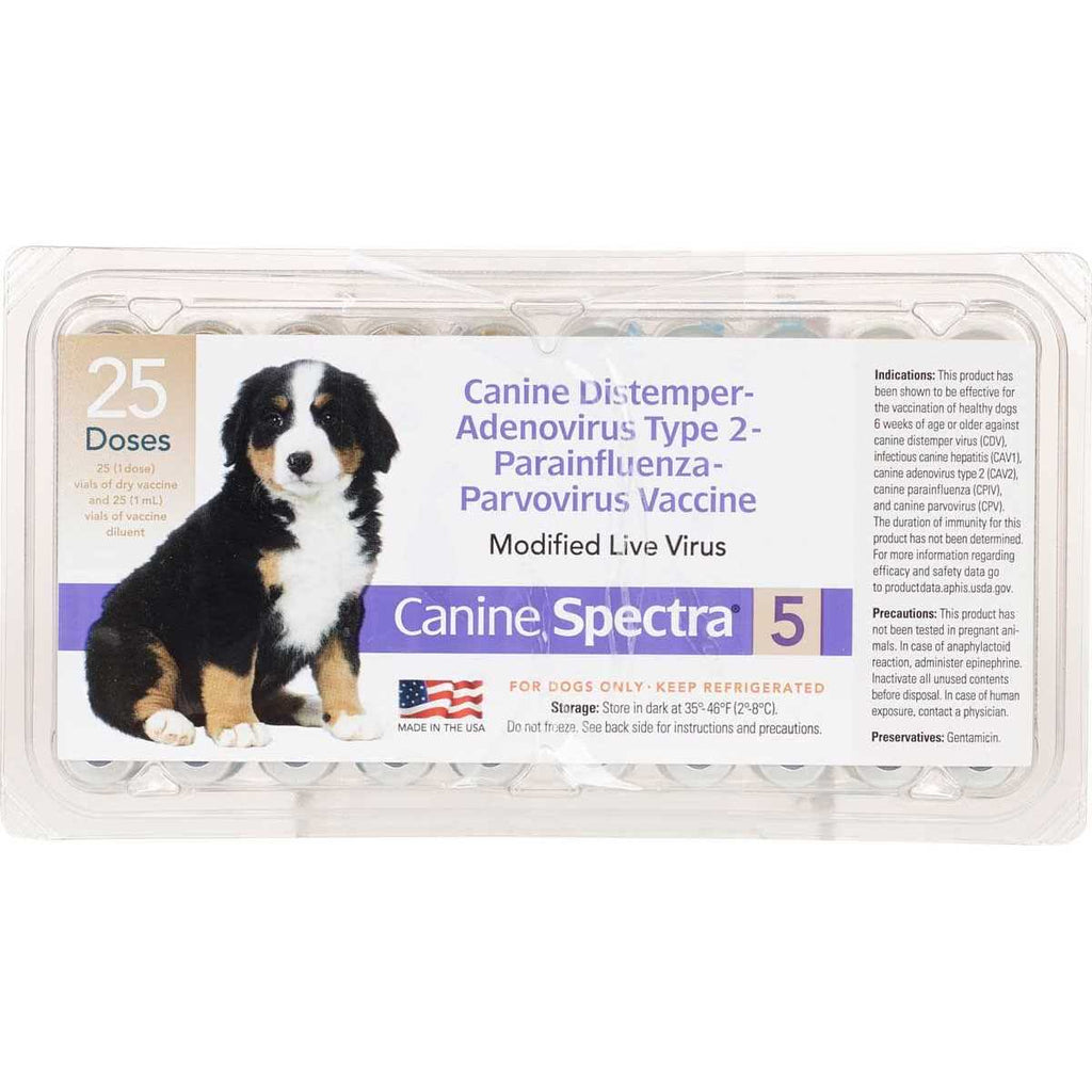 Dog Vaccine Q51380