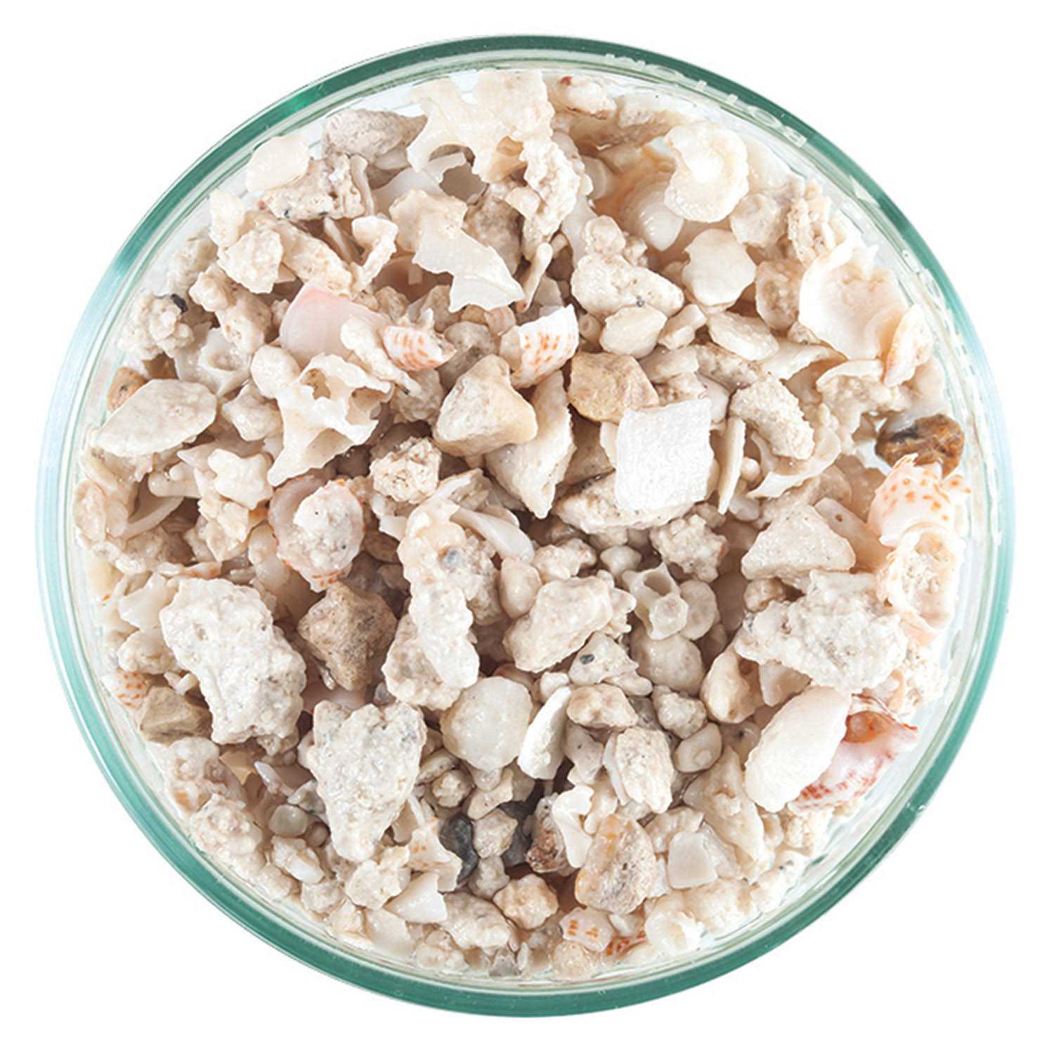 Crushed Coral for Aquariums A892968