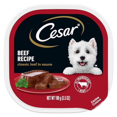 CESAR Adult Wet Dog Food Loaf in Sauce Beef Recipe, 3.5 oz. Easy Peel Trays, Pack of 24