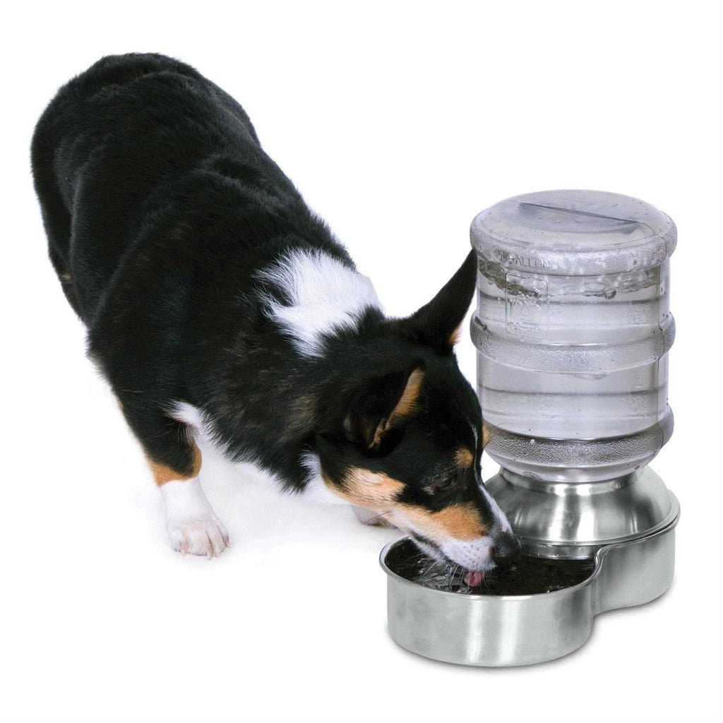 Stainless Steel Pet Waterer C8091