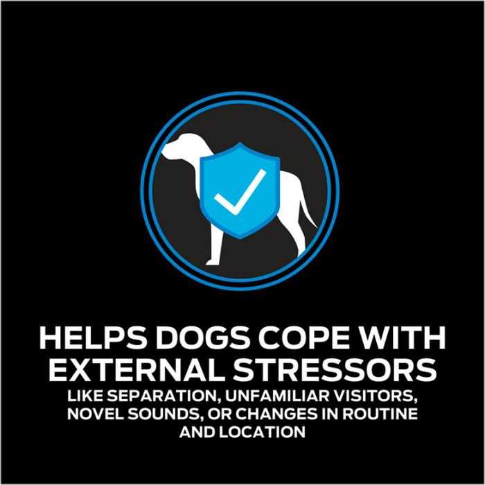Calming Care Probiotic Supplement for Dogs K423230