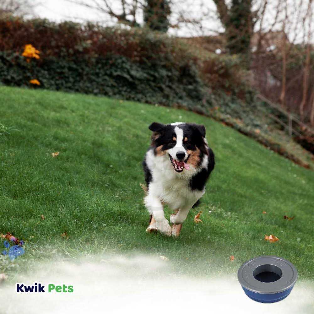 No Spill Pet Bowl Y83216
