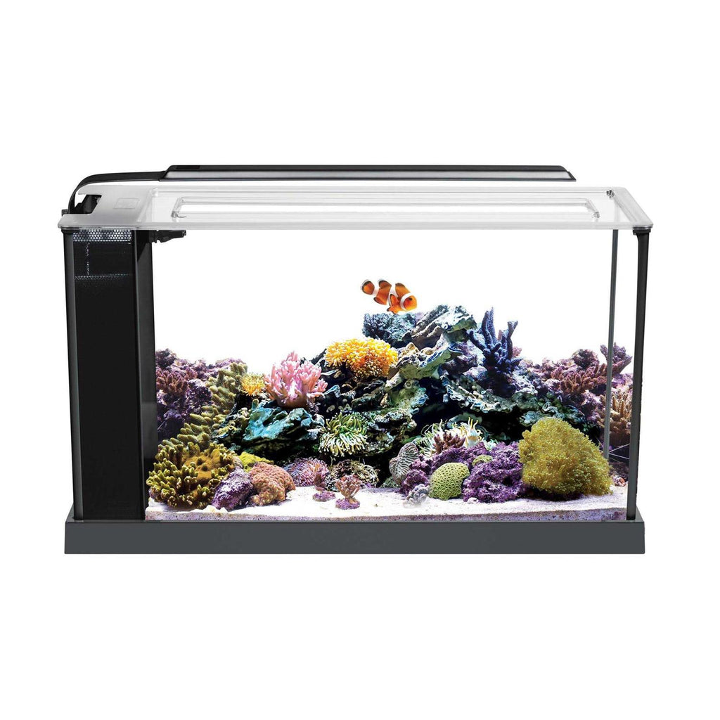 Aquarium Kit P884792
