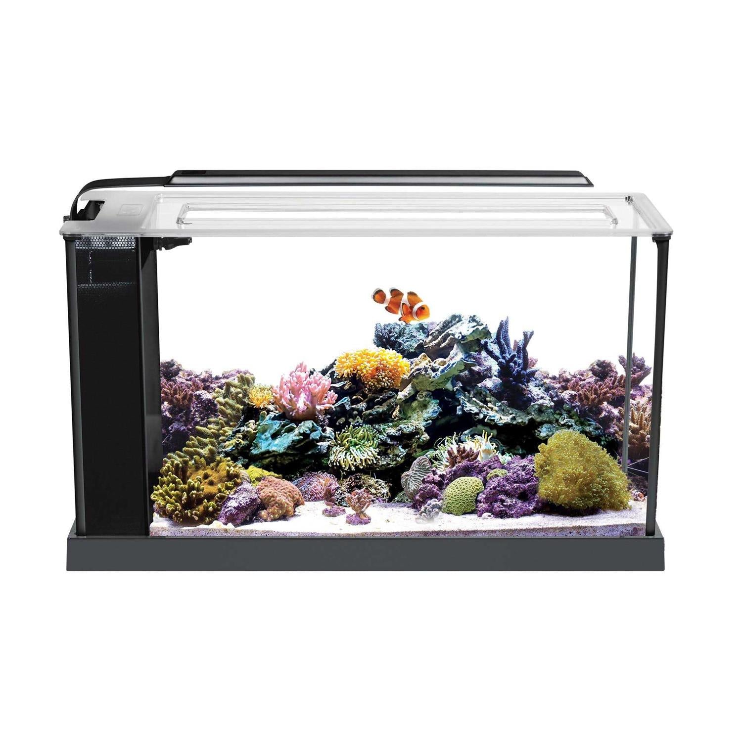 Aquarium Kit P884792
