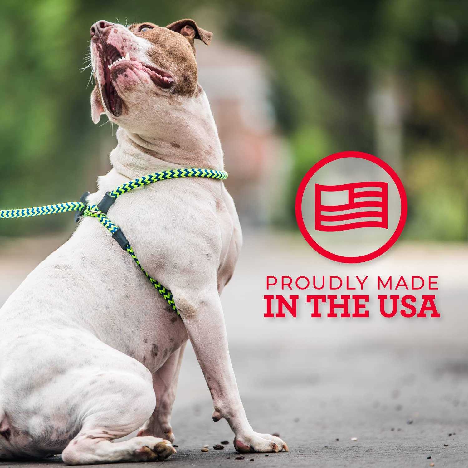 Dog Harness N126440