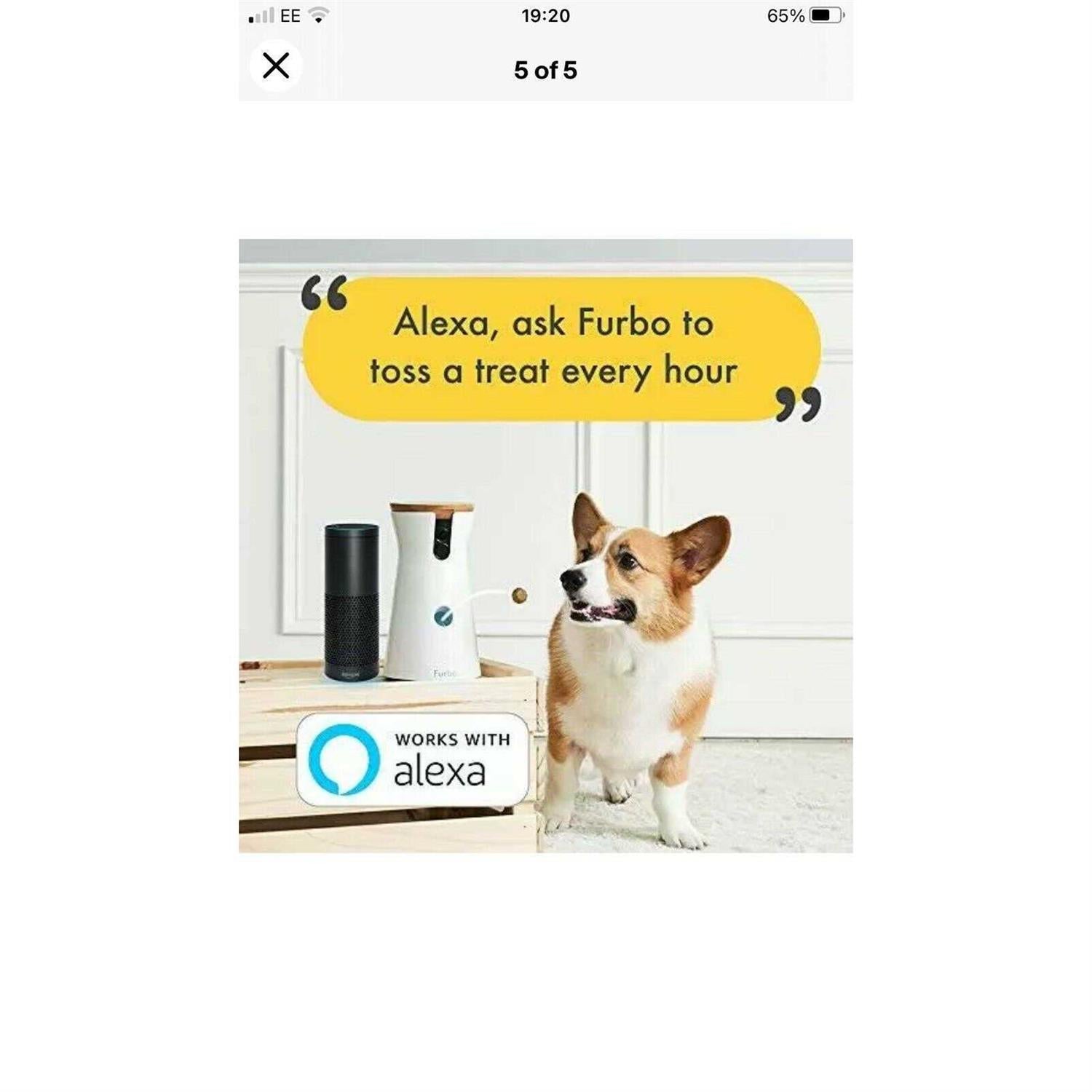 Dog Camera F5346