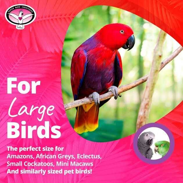 Bagel Cascade Bird Toy E933605