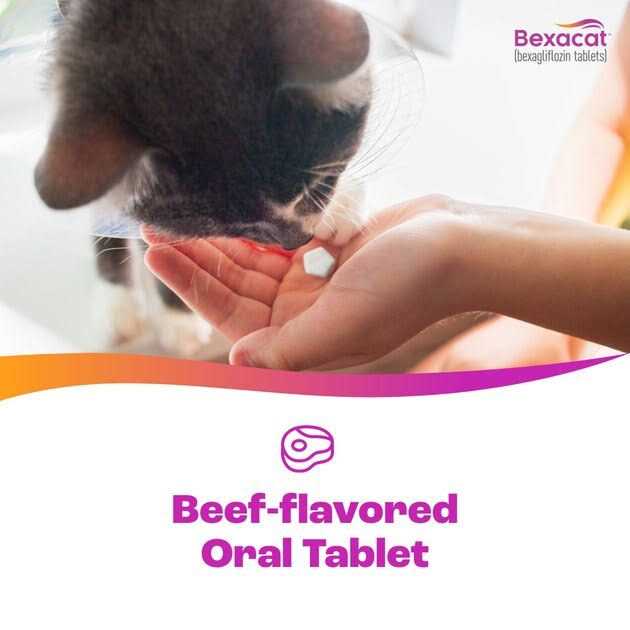 Cat Diabetes Medication 15 mg P694