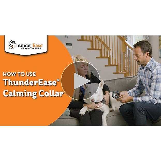Calming Dog Collar F66700