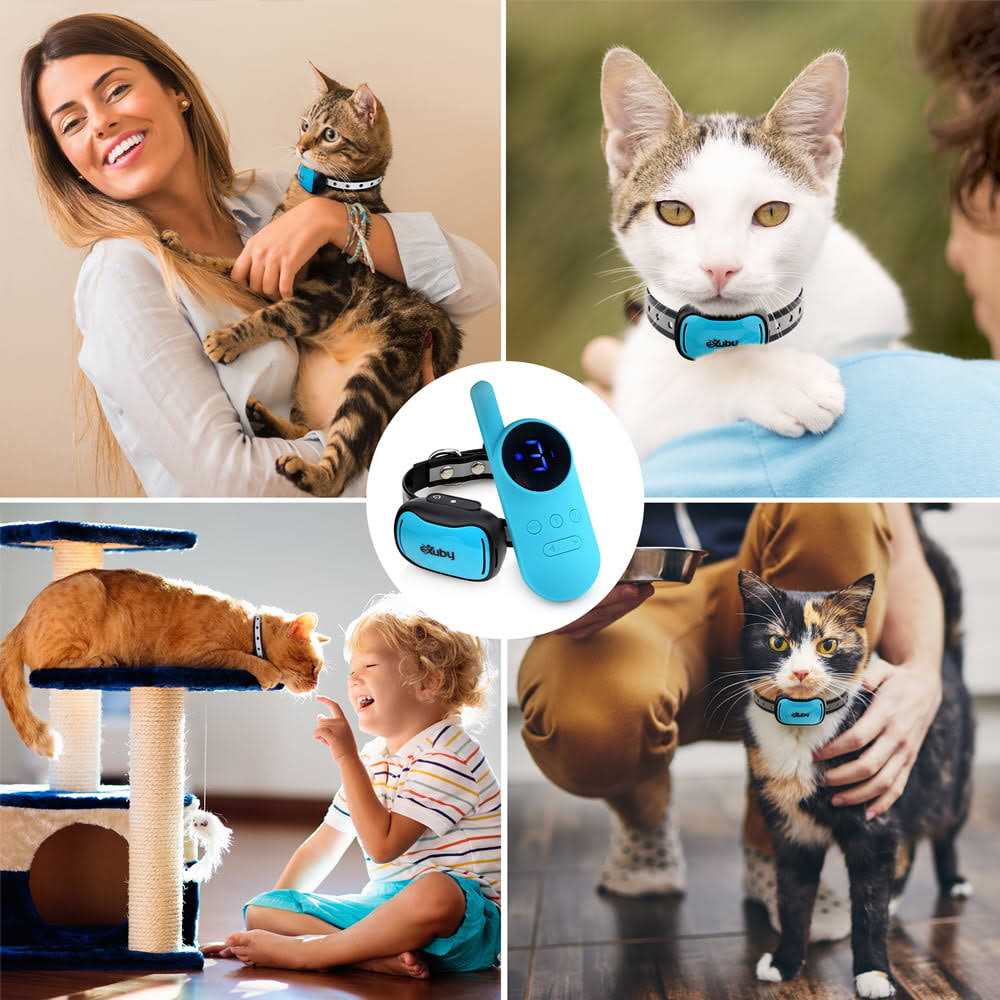 Small Cat Shock Collar with Remote for Training W355