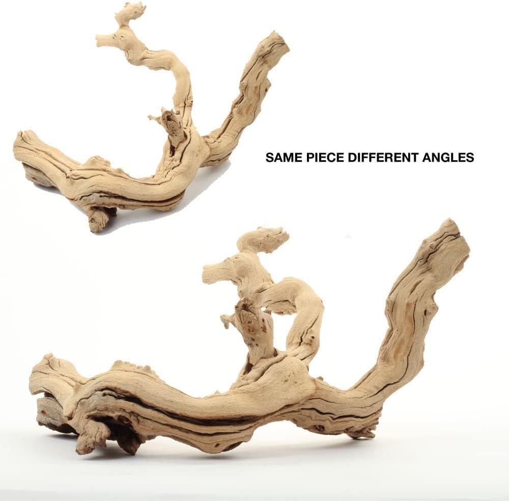 Natural Grapewood Vine Branch, 6-Inch F488145