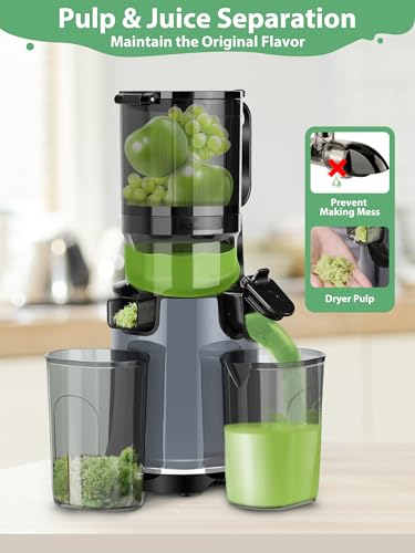 Masticating Juicer with Wide Mouth, 250W, 1.7L Capacity for Fruits and Vegetables E89651