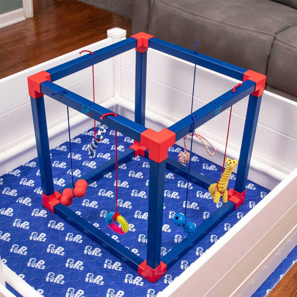 Puppy Play Gym Q2958
