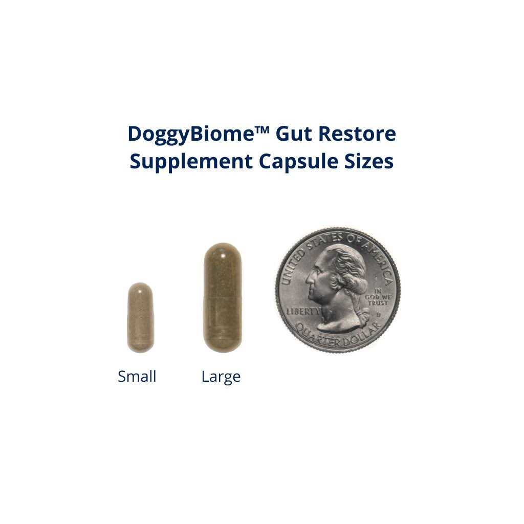 Gut Restore Supplement for Dogs, 30 Capsules Z33824