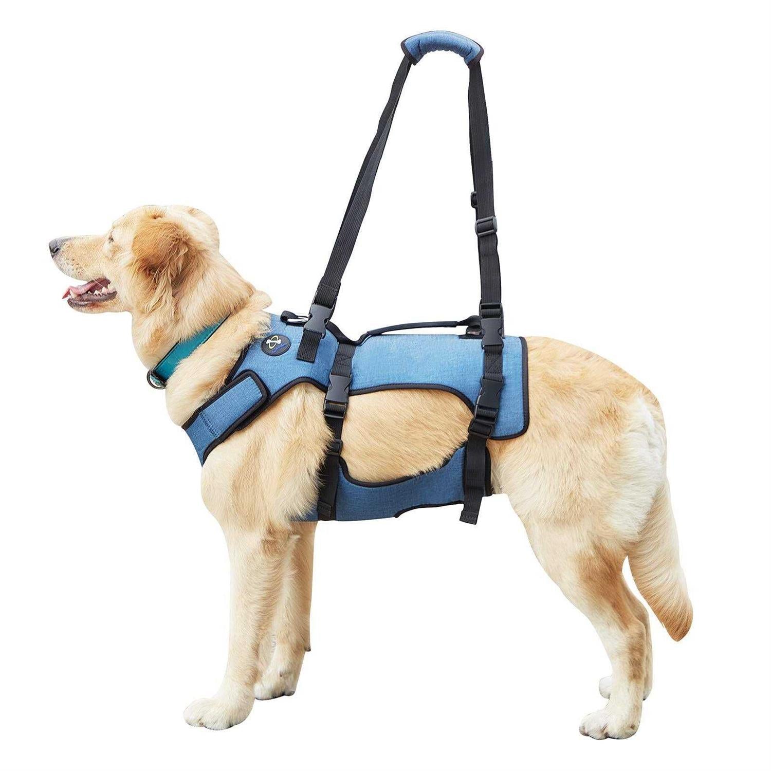 Coodeo Dog Lift Harness Support &amp; Recovery Sling Pet Rehabilitation Lifts Vest Adjustable Breathable Straps for Old - Pet Supplies online store
