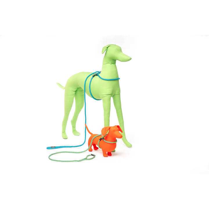 Dog Harness N126440
