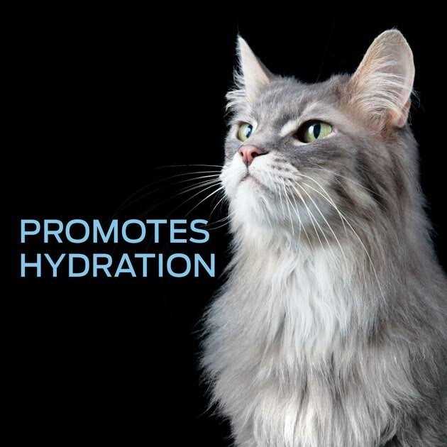 Hydra Care Hydration Supplement for Pets K683997