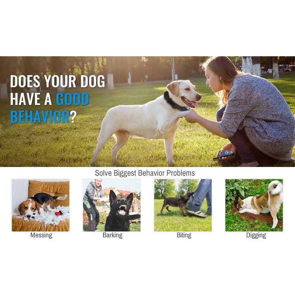 Rechargeable Dog Training Collar with Remote and Beep Vibration F84089